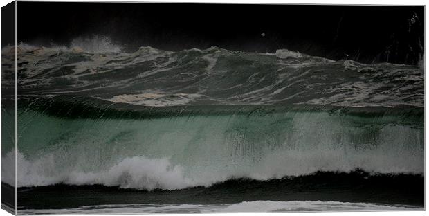 Wave Canvas Print by barbara walsh