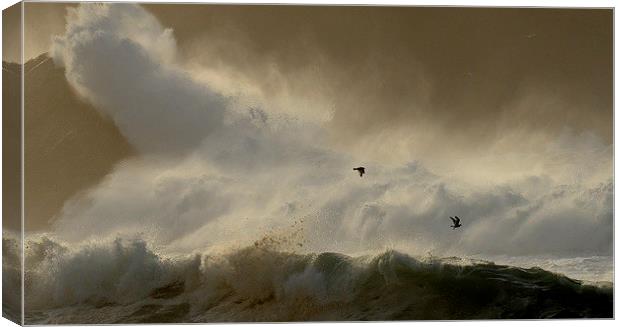 Clogher fun Canvas Print by barbara walsh