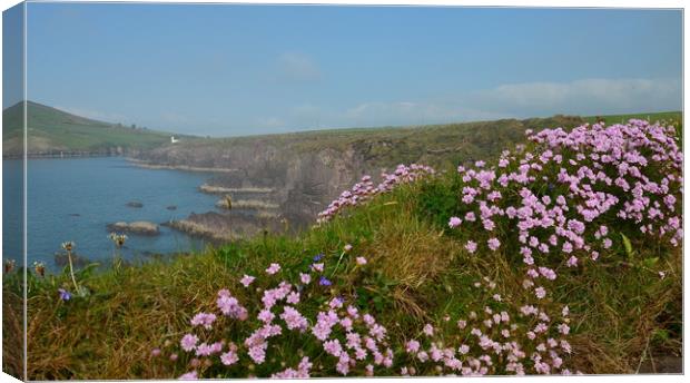 Dingle Bay Canvas Print by barbara walsh