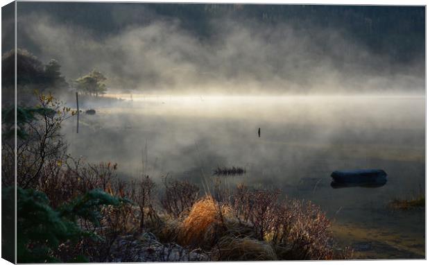 Morning at the lake Canvas Print by barbara walsh