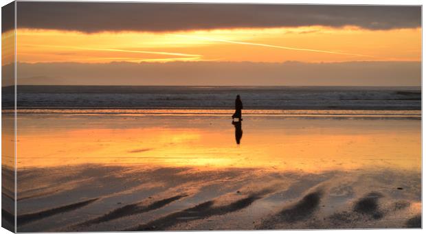 Alone Canvas Print by barbara walsh