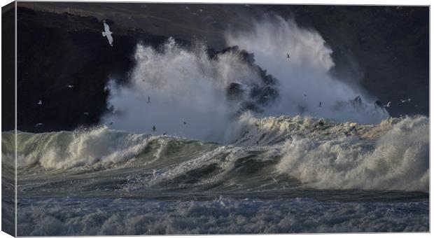 Wild day at Clogher Canvas Print by barbara walsh