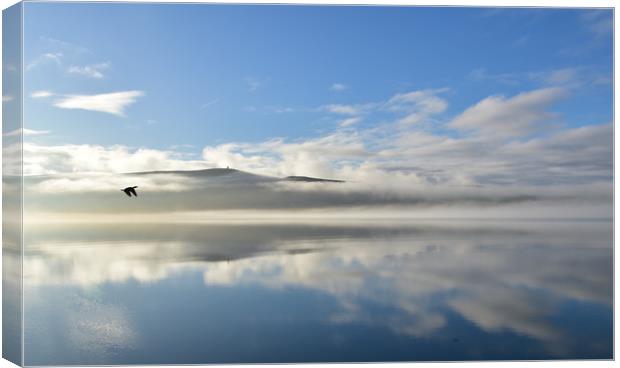 Magical morning in Dingle Canvas Print by barbara walsh