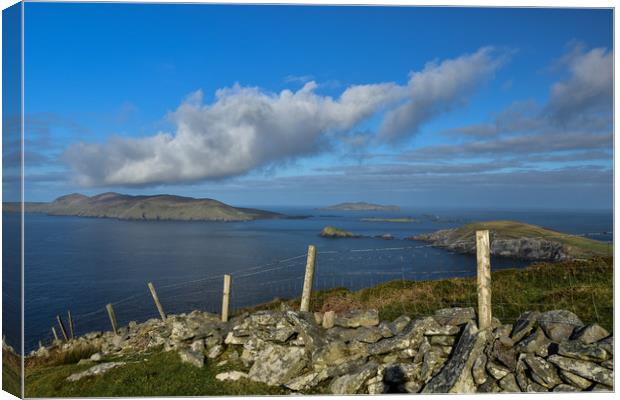Views over to the Blasket Islands Canvas Print by barbara walsh