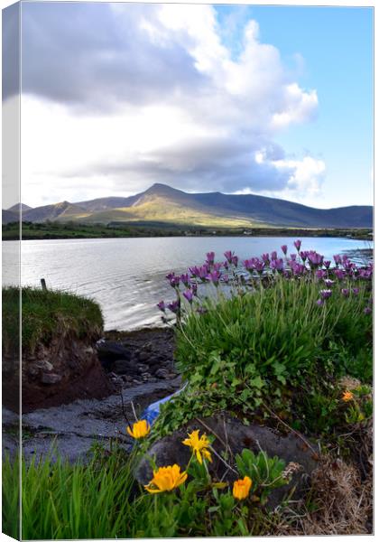 Morning views Canvas Print by barbara walsh