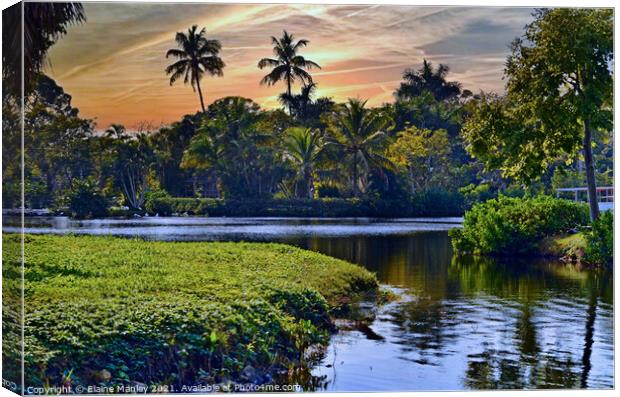 Sunset in The Naples Zoo  Canvas Print by Elaine Manley