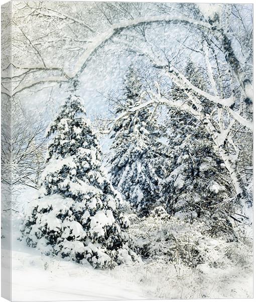 Snow Covered Forest Canvas Print by Elaine Manley