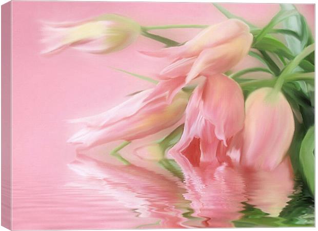  Spring Tulip Wish     flower  Canvas Print by Elaine Manley