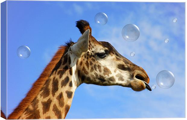 Catch A Bubble Canvas Print by Elaine Manley