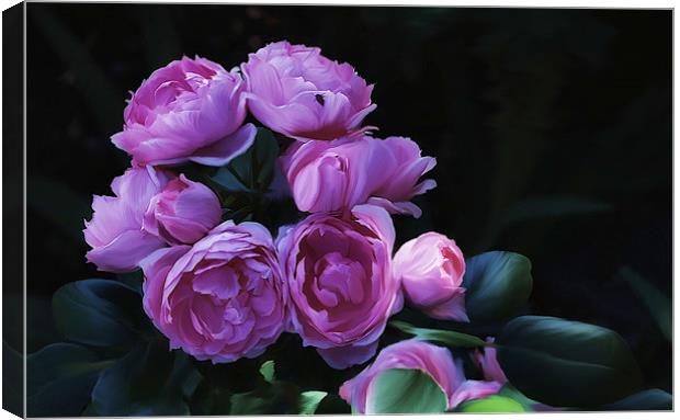  Pimk Rose Cluster flower Canvas Print by Elaine Manley