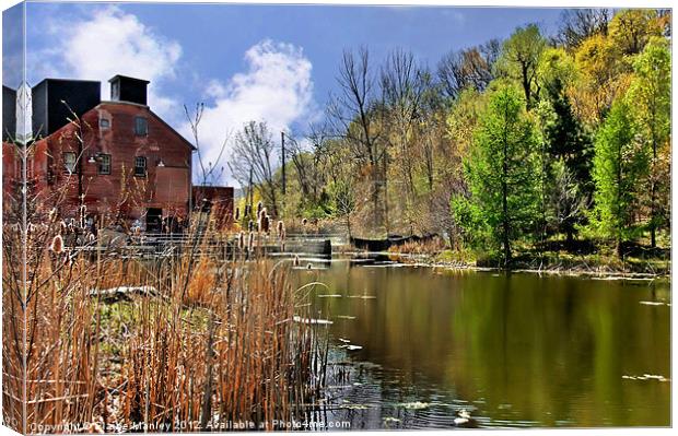 Spring at the Old Mill Canvas Print by Elaine Manley