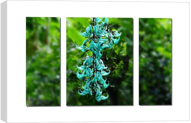 Turquoise Jade Vine Flower Canvas Print by Elaine Manley