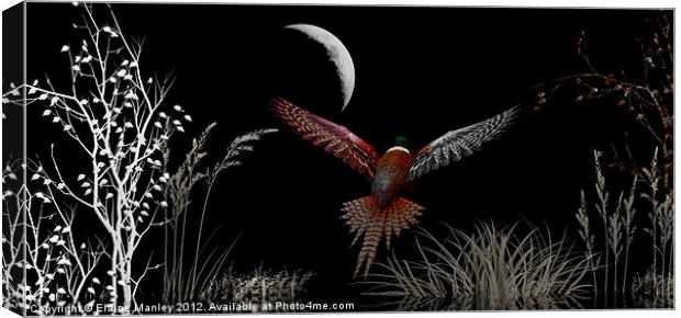 Night Flight Canvas Print by Elaine Manley