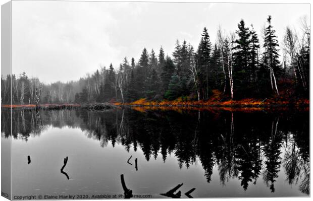 Beaver Pond  Canvas Print by Elaine Manley