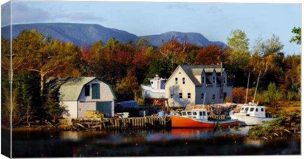 Tiny Village of Dingwall Nova Scotia Canvas Print by Elaine Manley