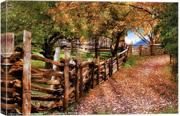 Autumn Walkway Canvas Print by Elaine Manley