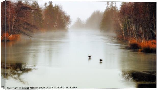 Ducks on Frozen Pond Canvas Print by Elaine Manley