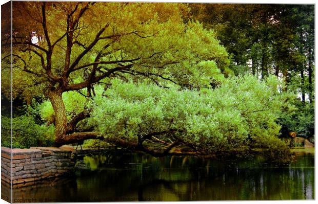 The Green Pond Canvas Print by Elaine Manley