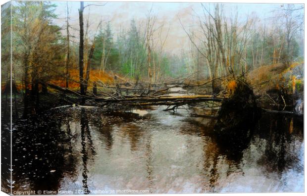 Fallen Tree Canvas Print by Elaine Manley