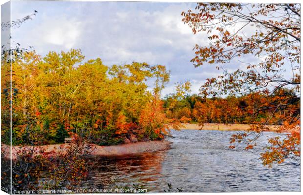 Autumn River Canvas Print by Elaine Manley