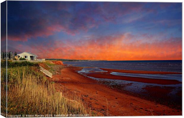 Red Sand Beaches   Prince Edward Island Atlantic C Canvas Print by Elaine Manley