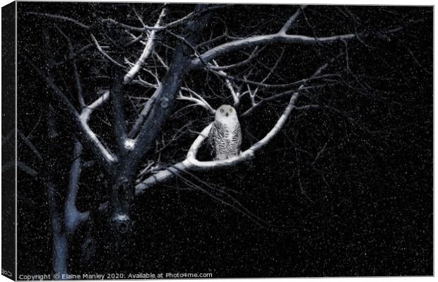 Alone on a Cold Winters Night Canvas Print by Elaine Manley