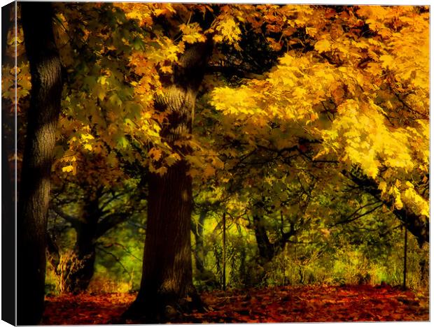 Yellow Forest Canvas Print by Elaine Manley