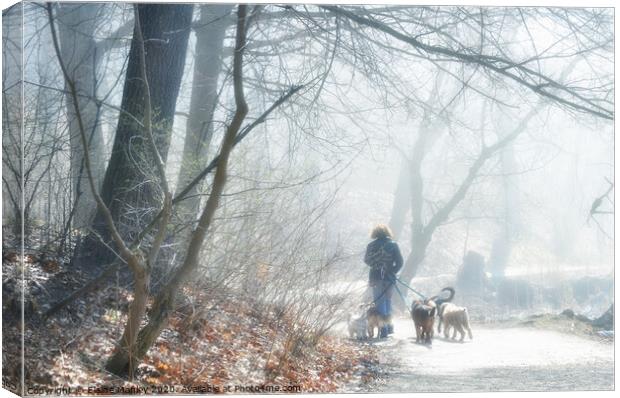 Walking the dogs in the Fog Canvas Print by Elaine Manley