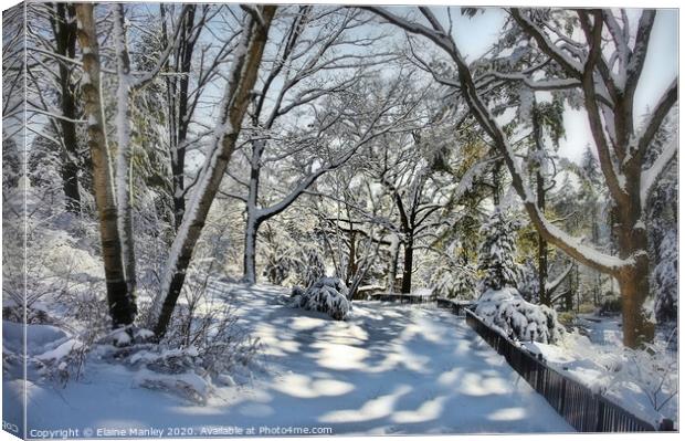 Snow Shadows Canvas Print by Elaine Manley