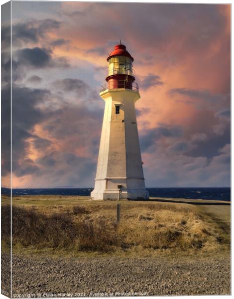  Canada ..Low Point Lighthouse  Cape Breton  Atlan Canvas Print by Elaine Manley