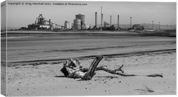 Redcar Steel works and a dead tree - mono beach sc Canvas Print by Greg Marshall