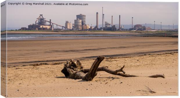 Redcar Steel works and a dead tree - a beach scene Canvas Print by Greg Marshall