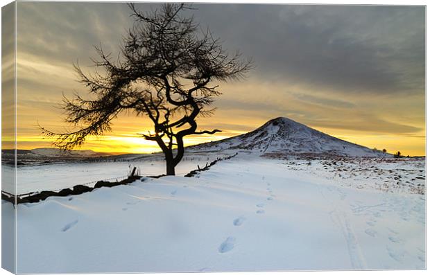 Winter Sunset Roseberry Topping Teesside Canvas Print by Greg Marshall