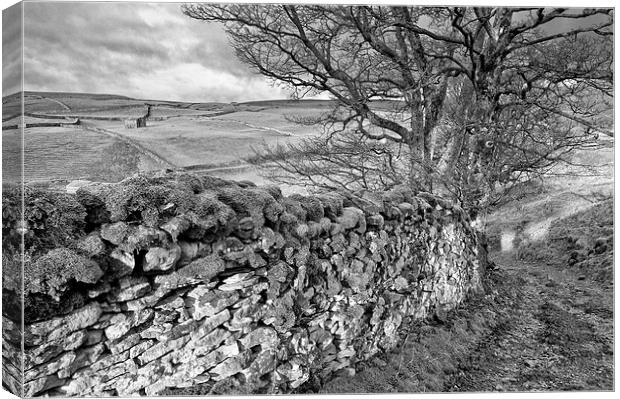 Yorkshire barns near Keld Canvas Print by Greg Marshall