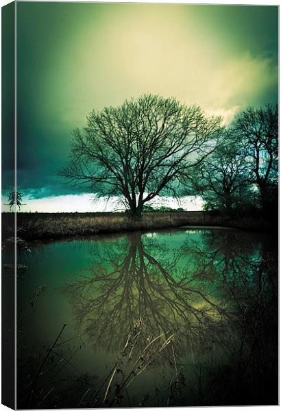 Gothic Sleepy Hollow Tree Reflection Canvas Print by Greg Marshall