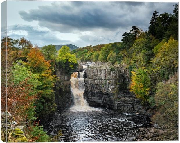  High Force waterfall in colour Canvas Print by Greg Marshall
