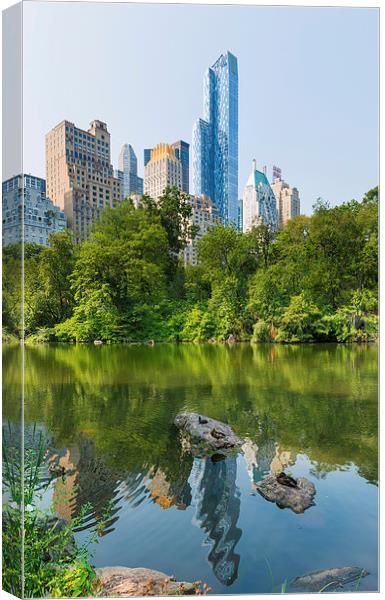 Ducks rest at  The Pond Central Park Manhattan Canvas Print by Greg Marshall