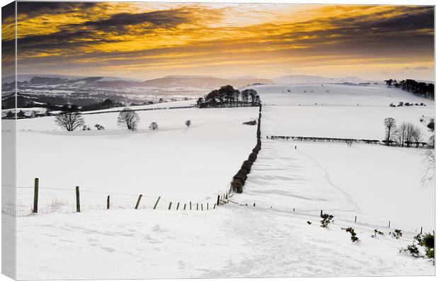 Winter Walking Roseberry Topping Canvas Print by Greg Marshall
