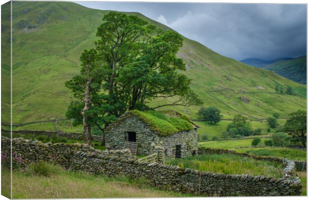 Lone Barn with trees Hartsop Lake District Canvas Print by Greg Marshall