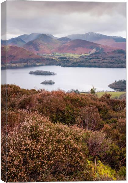 View of Cat Bells, Robinson, Dale Head and other W Canvas Print by Greg Marshall