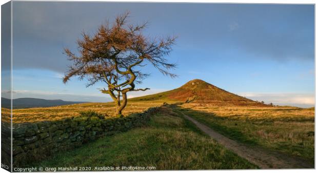 Roseberry Topping at Sunrise Canvas Print by Greg Marshall