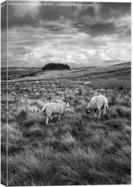 Kirkcarrion Middleton-in-Teesdale Canvas Print by Greg Marshall