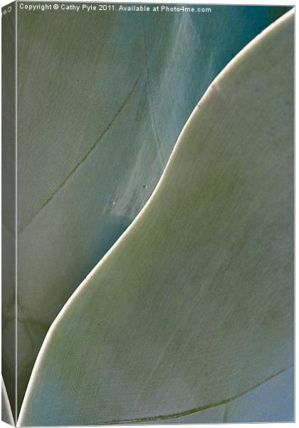 Cactus leaves Canvas Print by Cathy Pyle