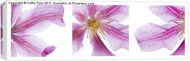 Clematis triptych Canvas Print by Cathy Pyle
