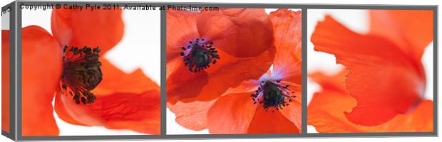 Poppies triptych (grey border) Canvas Print by Cathy Pyle