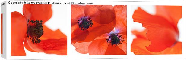 Poppies triptych (white border) Canvas Print by Cathy Pyle