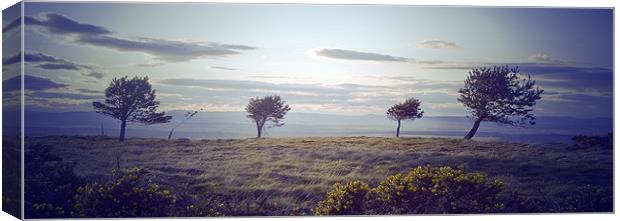Top of the hill 1.0 Canvas Print by Kevin Dobie