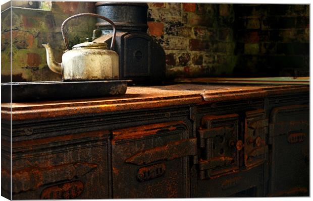 Old Stove Canvas Print by Daniel Reed