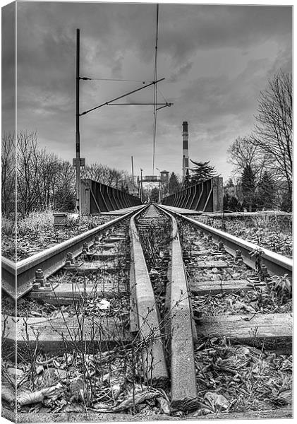 On The Right Track Canvas Print by Andrew Squires