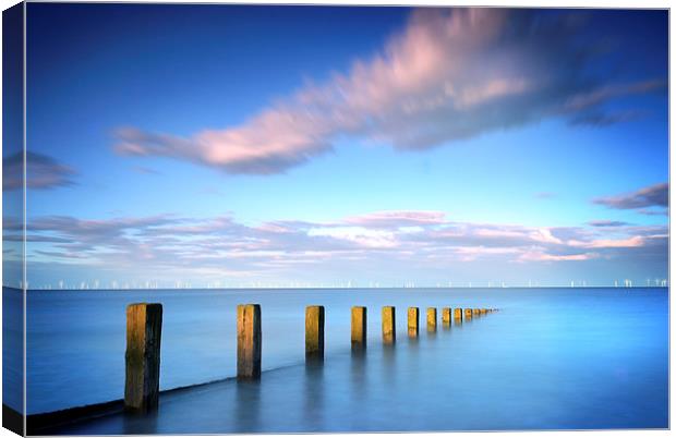 East Coast Blues Canvas Print by Andrew Squires